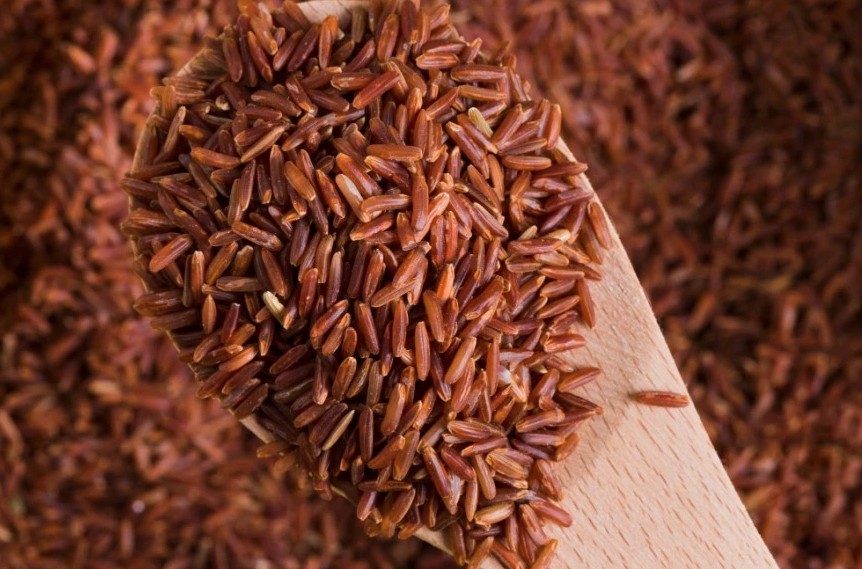 Chuyên gia tuổi thọ: Ăn thứ này thường xuyên, bạn sẽ sống đến trăm tuổi- Ảnh 2.