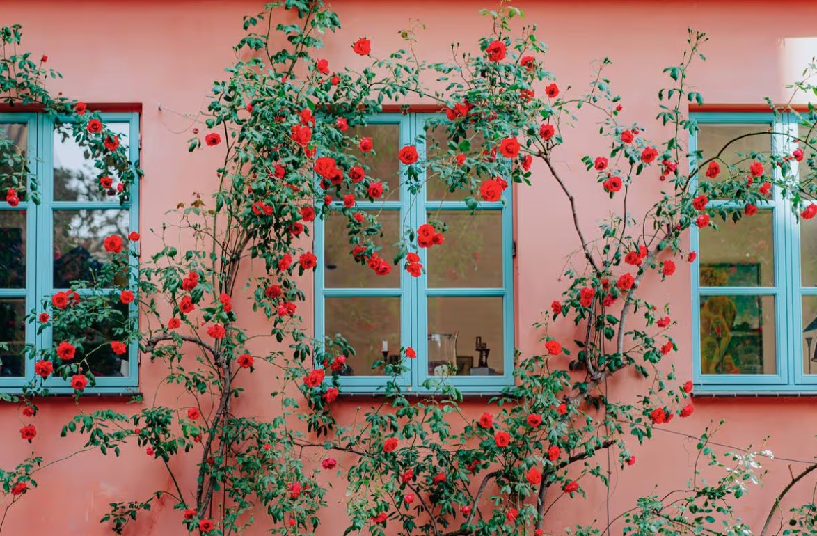 5 loại c&acirc;y cần được cắt tỉa trước khi th&aacute;ng 1 kết th&uacute;c- Ảnh 3.