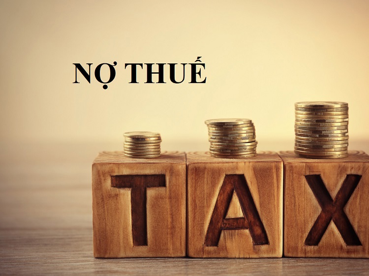 - Ảnh 1. - Ảnh 1.