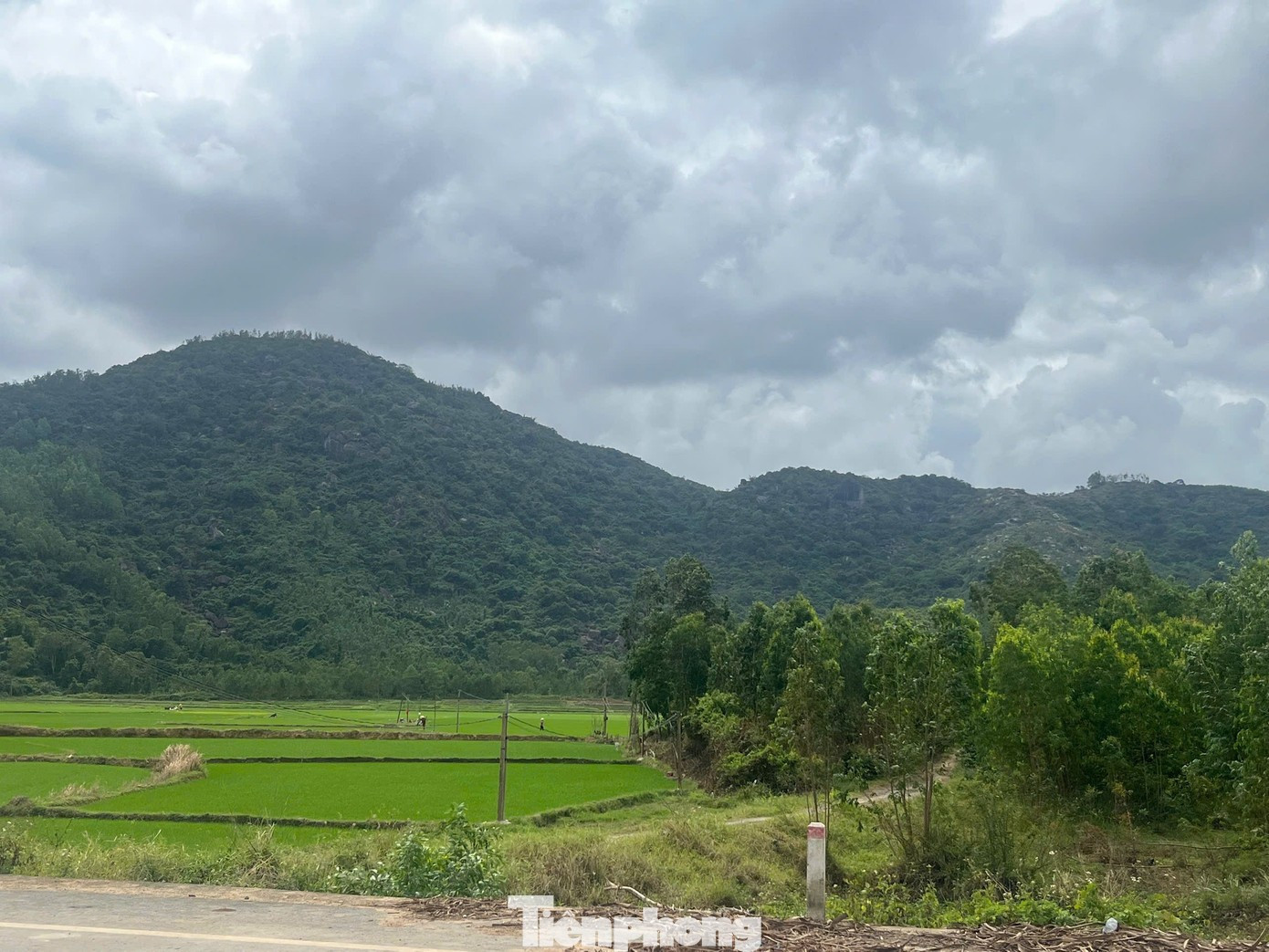 Khen thưởng nam sinh Nguyễn Thành Khang cứu phi công nhảy dù tại Đắk Lắk - Ảnh 3.