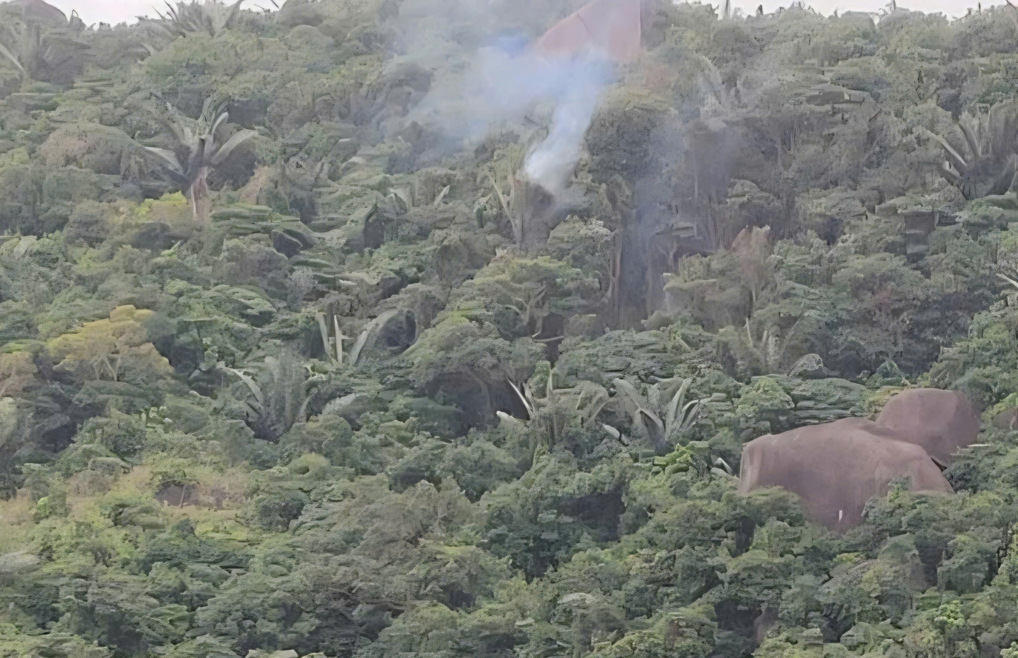 Bộ Quốc phòng thông tin sự cố máy bay quân sự rơi tại Đắk Lắk ngày 28 - 1 - 2026 - Ảnh 2.