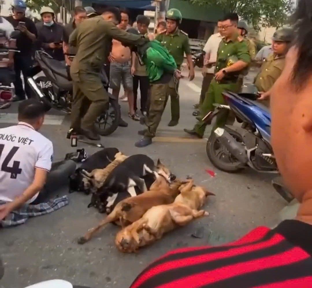 C&ocirc;ng an phường B&igrave;nh Dương truy đuổi đối tượng trộm ch&oacute; c&oacute; s&uacute;ng tự chế - Ảnh 1.