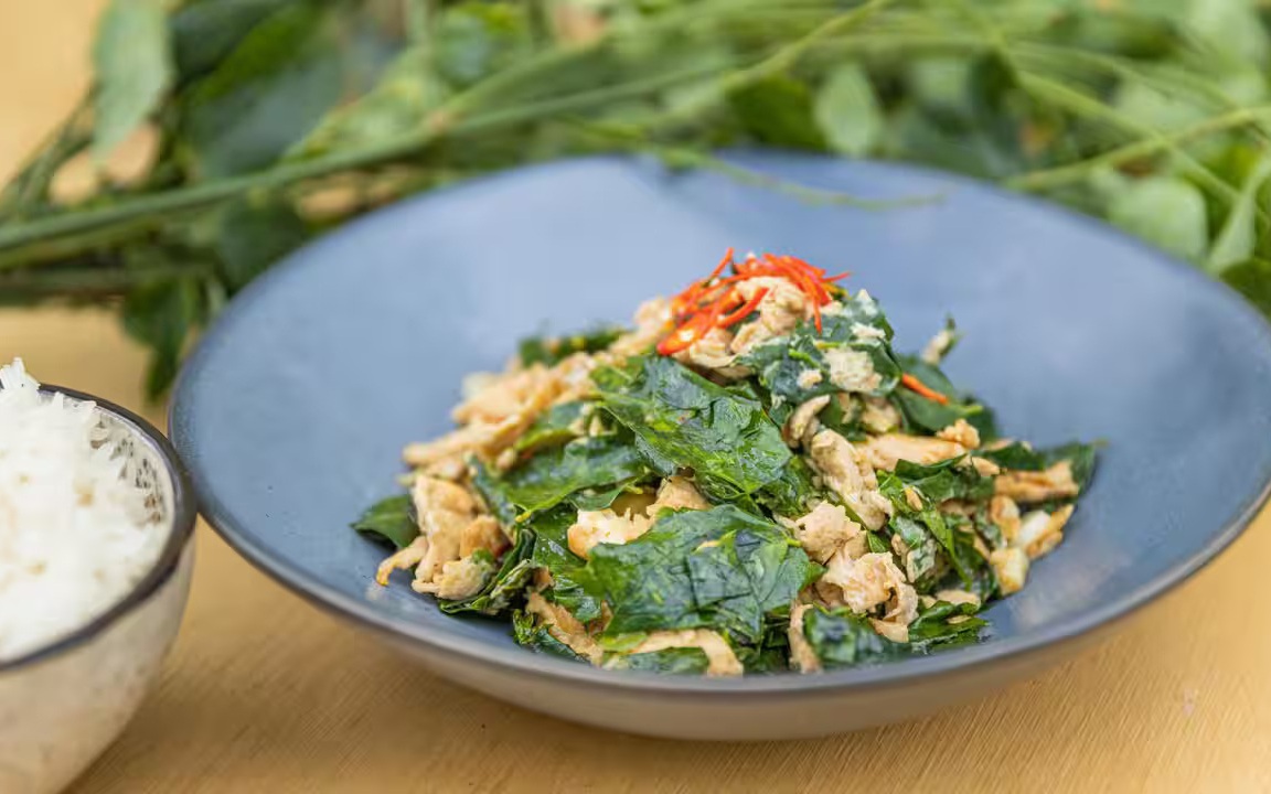 1 lưu &yacute; quan trọng bất cứ ai uống rượu đinh lăng đều phải biết - Ảnh 3.