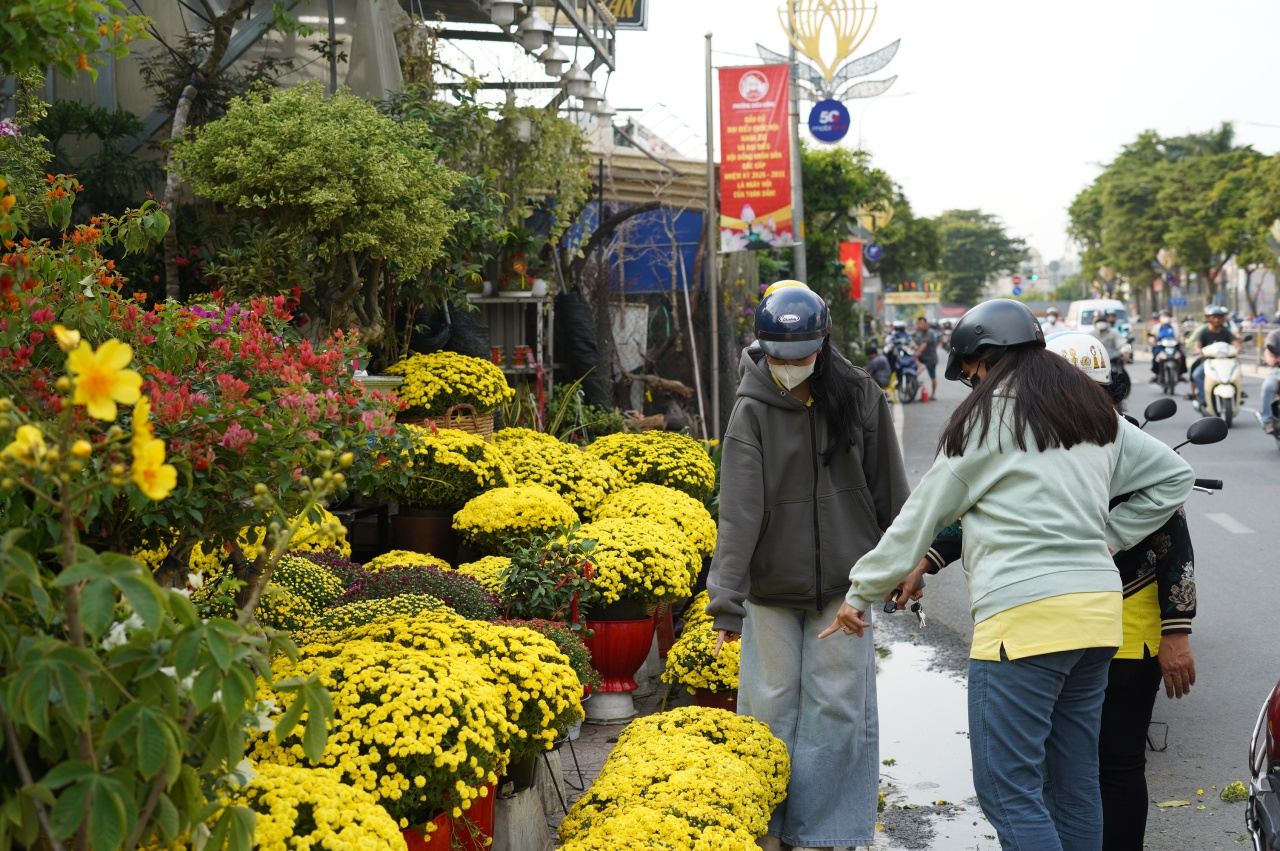 Ấm lòng ngày giáp Tết: Người dân TP.HCM chung tay giải cứu từng chậu cúc mâm xôi, giúp bà con nông dân miền Tây vơi bớt nỗi lo mất mùa- Ảnh 12.