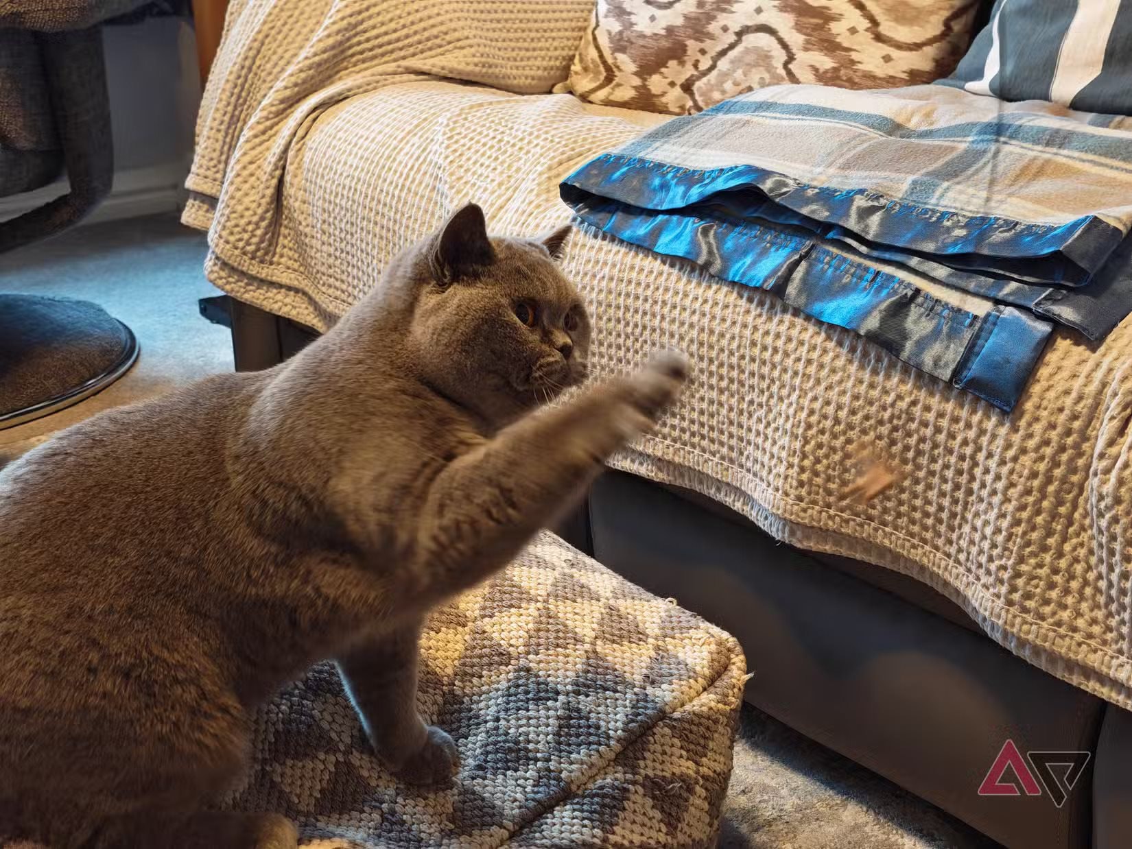 Honor Magic8 Pro v&agrave; những vấn đề giật lag khiến người d&ugrave;ng thất vọng hơn iPhone - Ảnh 3.