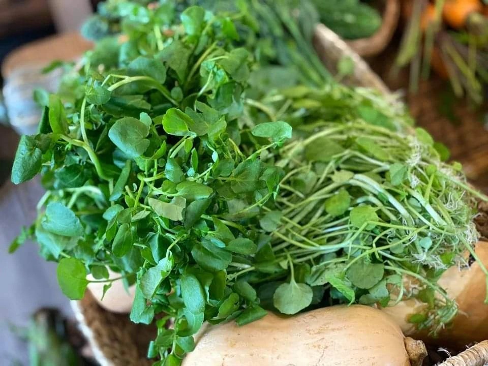 Loại rau tốt nhất thế giới, được chấm 100/100 điểm, chợ Việt b&aacute;n từ 25.000 đồng/kg- Ảnh 1.