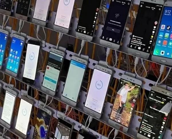 Lừa đảo livestream: 11 Thanh niên bị bắt giữ chiếm đoạt hơn 50 tỷ đồng - Ảnh 1.