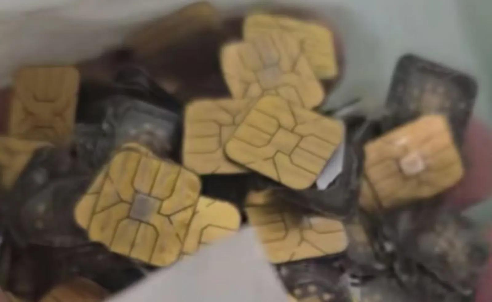 - Ảnh 1. - Ảnh 1.