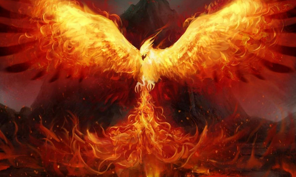 Xôn xao đoạn video phượng hoàng lửa đột ngột xuất hiện trong đêm tối, mạng xã hội chia rẽ thành 2 phe - Ảnh 1.