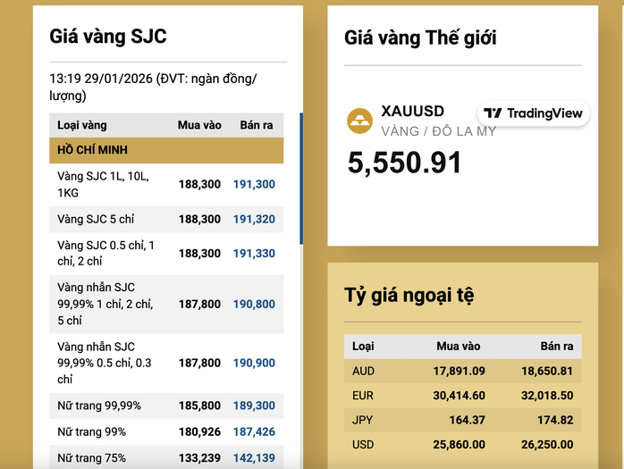 Giá vàng chiều nay vượt 191 triệu đồng: Cập nhật thông tin sàn giao dịch vàng Việt Nam - Ảnh 2.