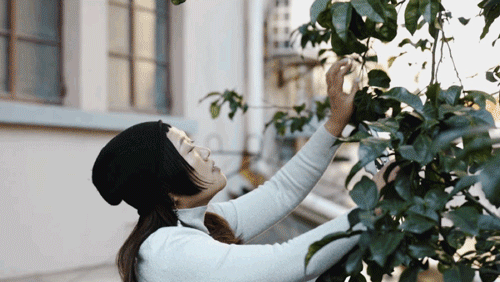 Thuê nhà nhỏ vẫn sống như biệt thự: Mẹ đơn thân biến ban công - sân hẹp thành khu vườn xanh mướt- Ảnh 23. Thuê nhà nhỏ vẫn sống như biệt thự: Mẹ đơn thân biến ban công - sân hẹp thành khu vườn xanh mướt- Ảnh 23.