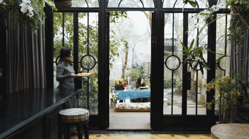 Thuê nhà nhỏ vẫn sống như biệt thự: Mẹ đơn thân biến ban công - sân hẹp thành khu vườn xanh mướt- Ảnh 3. Thuê nhà nhỏ vẫn sống như biệt thự: Mẹ đơn thân biến ban công - sân hẹp thành khu vườn xanh mướt- Ảnh 3.