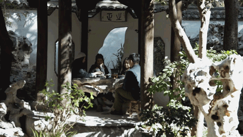 Thuê nhà nhỏ vẫn sống như biệt thự: Mẹ đơn thân biến ban công - sân hẹp thành khu vườn xanh mướt- Ảnh 22. Thuê nhà nhỏ vẫn sống như biệt thự: Mẹ đơn thân biến ban công - sân hẹp thành khu vườn xanh mướt- Ảnh 22.