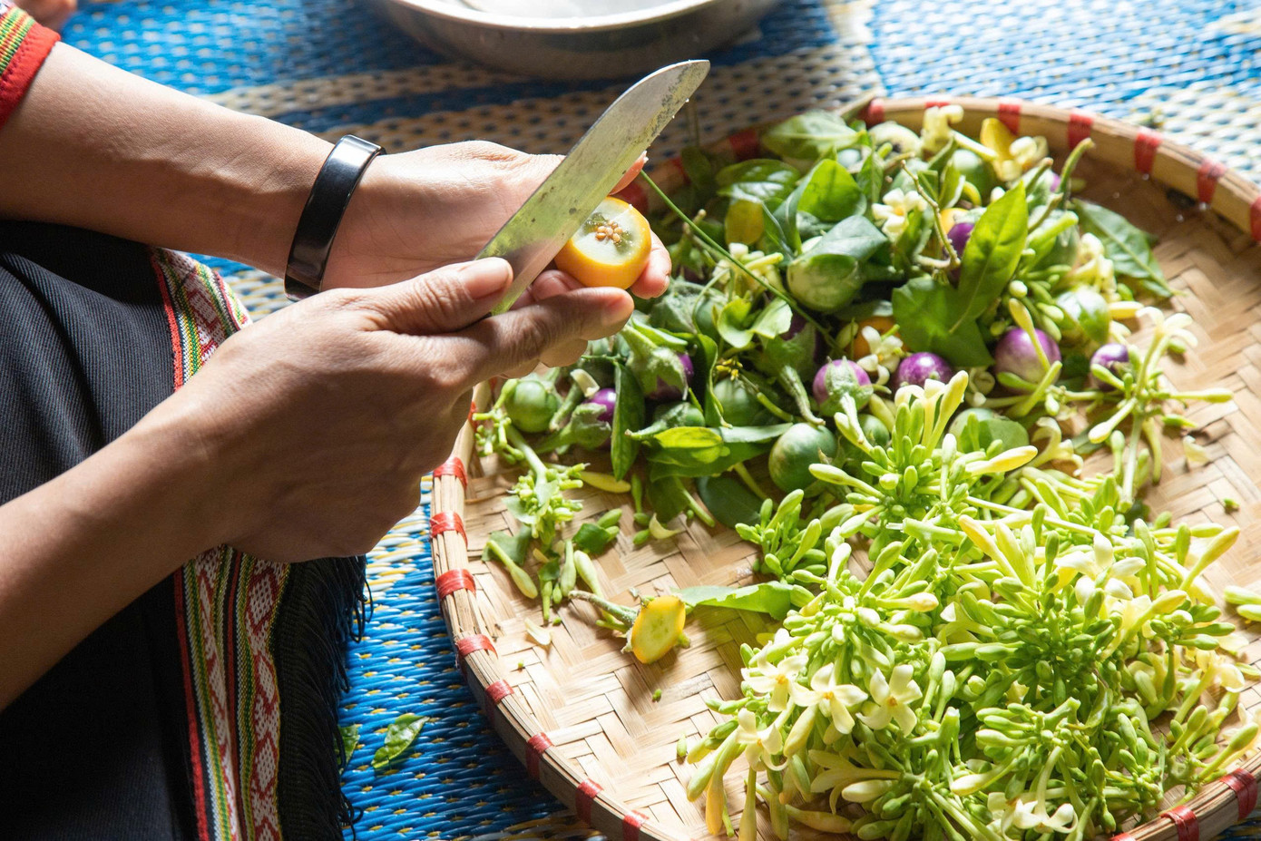 Khách Tây thích thú trải nghiệm xe công nông 'Lamborghini Ê Đê' - Ảnh 7.