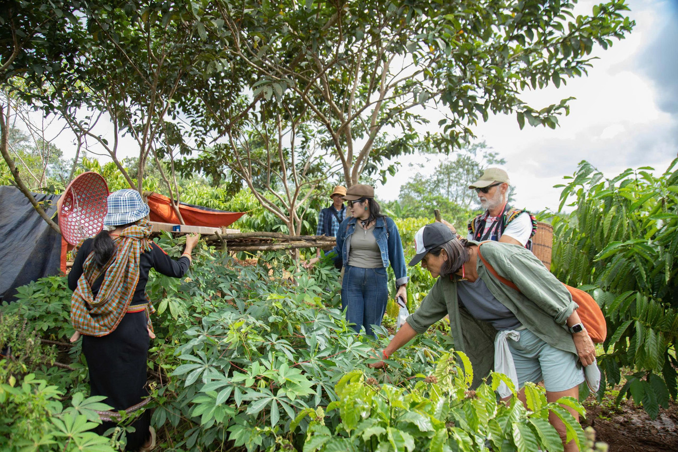Khách Tây thích thú trải nghiệm xe công nông 'Lamborghini Ê Đê' - Ảnh 9.