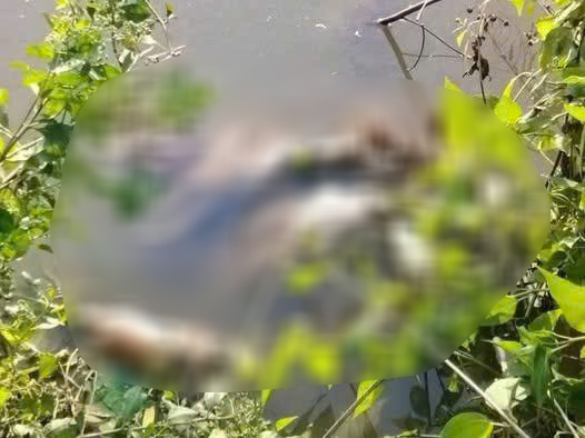 Nữ sinh C&agrave; Mau bị s&aacute;t hại: Điều tra nghi phạm v&agrave; nỗi đau của gia đ&igrave;nh - Ảnh 1.