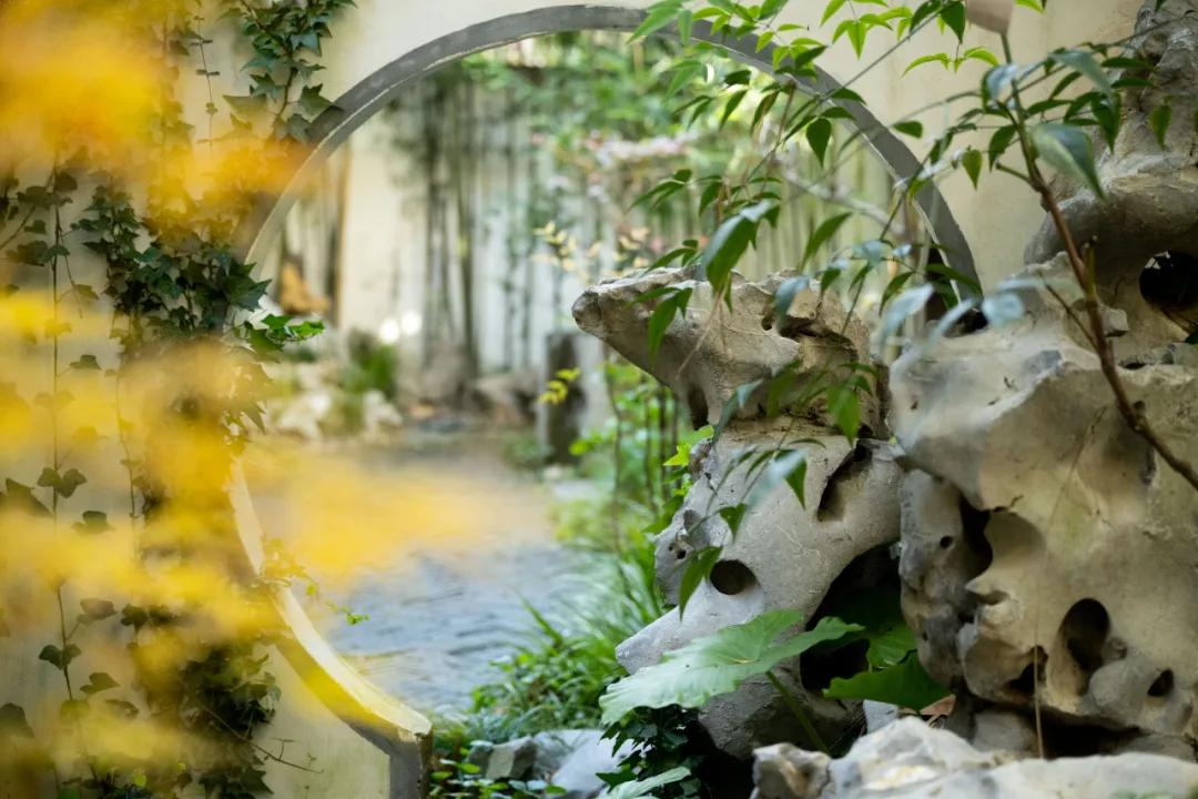 Thuê nhà nhỏ vẫn sống như biệt thự: Mẹ đơn thân biến ban công - sân hẹp thành khu vườn xanh mướt- Ảnh 8. Thuê nhà nhỏ vẫn sống như biệt thự: Mẹ đơn thân biến ban công - sân hẹp thành khu vườn xanh mướt- Ảnh 8.