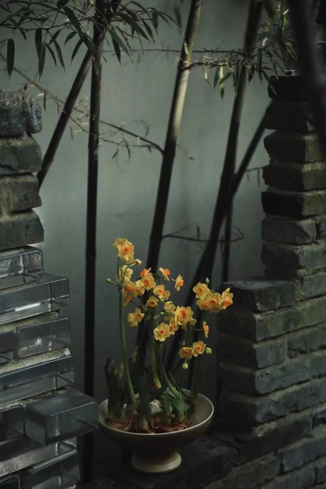 Thuê nhà nhỏ vẫn sống như biệt thự: Mẹ đơn thân biến ban công - sân hẹp thành khu vườn xanh mướt- Ảnh 7. Thuê nhà nhỏ vẫn sống như biệt thự: Mẹ đơn thân biến ban công - sân hẹp thành khu vườn xanh mướt- Ảnh 7.