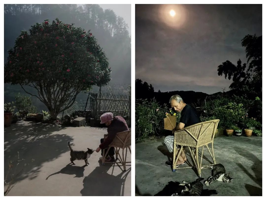 4 người thế hệ 9x bỏ phố về qu&ecirc; x&acirc;y nh&agrave;: Căn rẻ nhất 350 triệu, đổi lấy tự do chỗ ở- Ảnh 4.