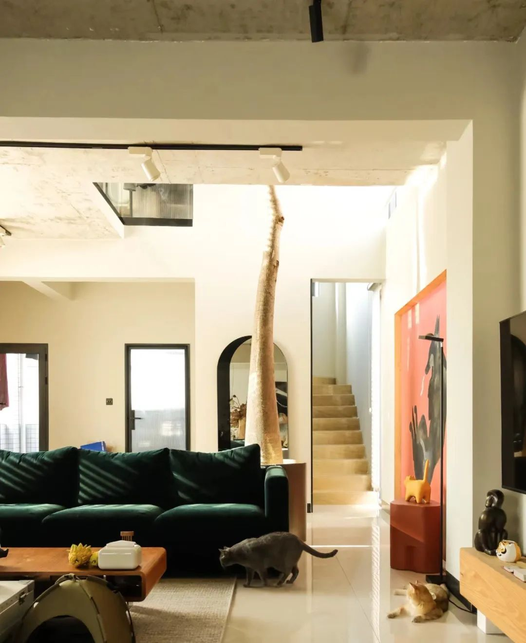 4 người thế hệ 9x bỏ phố về qu&ecirc; x&acirc;y nh&agrave;: Căn rẻ nhất 350 triệu, đổi lấy tự do chỗ ở- Ảnh 11.