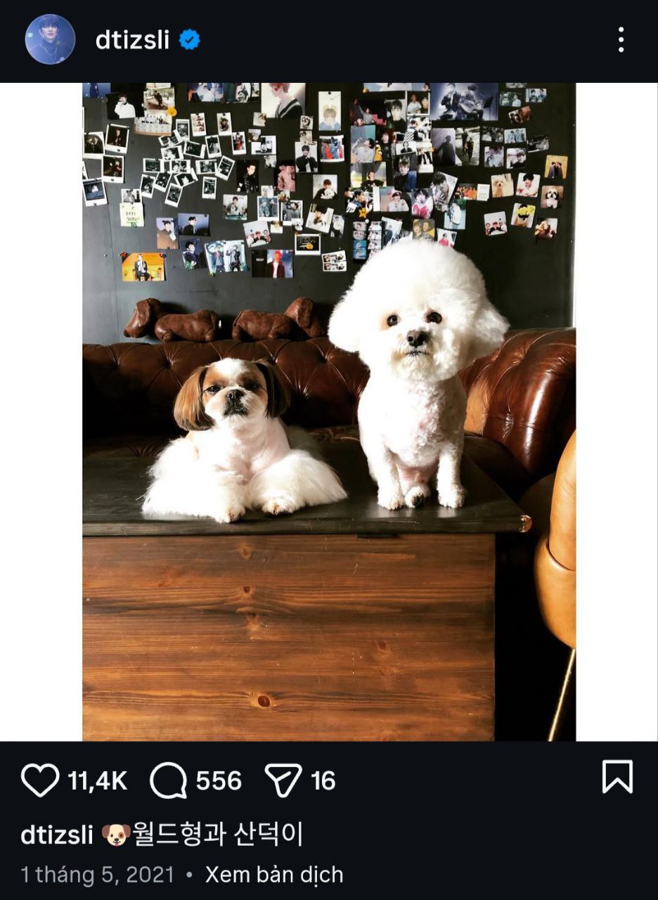 - Ảnh 2. - Ảnh 2.