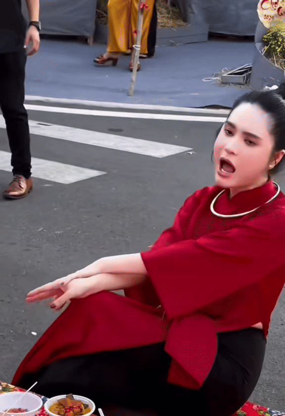 Gần Tết, Đoàn Di Băng "đột ngột quay lại" theo cách không ai nghĩ đến - Ảnh 8.