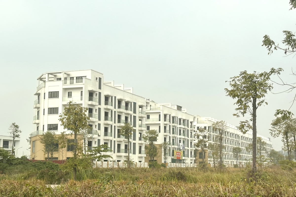 Người dân Bắc Ninh dồn dập đón tin vui- Ảnh 1.