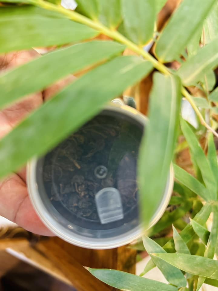 Địa phương miền núi của Việt Nam có chè ngon nức tiếng, giá trên 100 triệu đồng/kg- Ảnh 5.