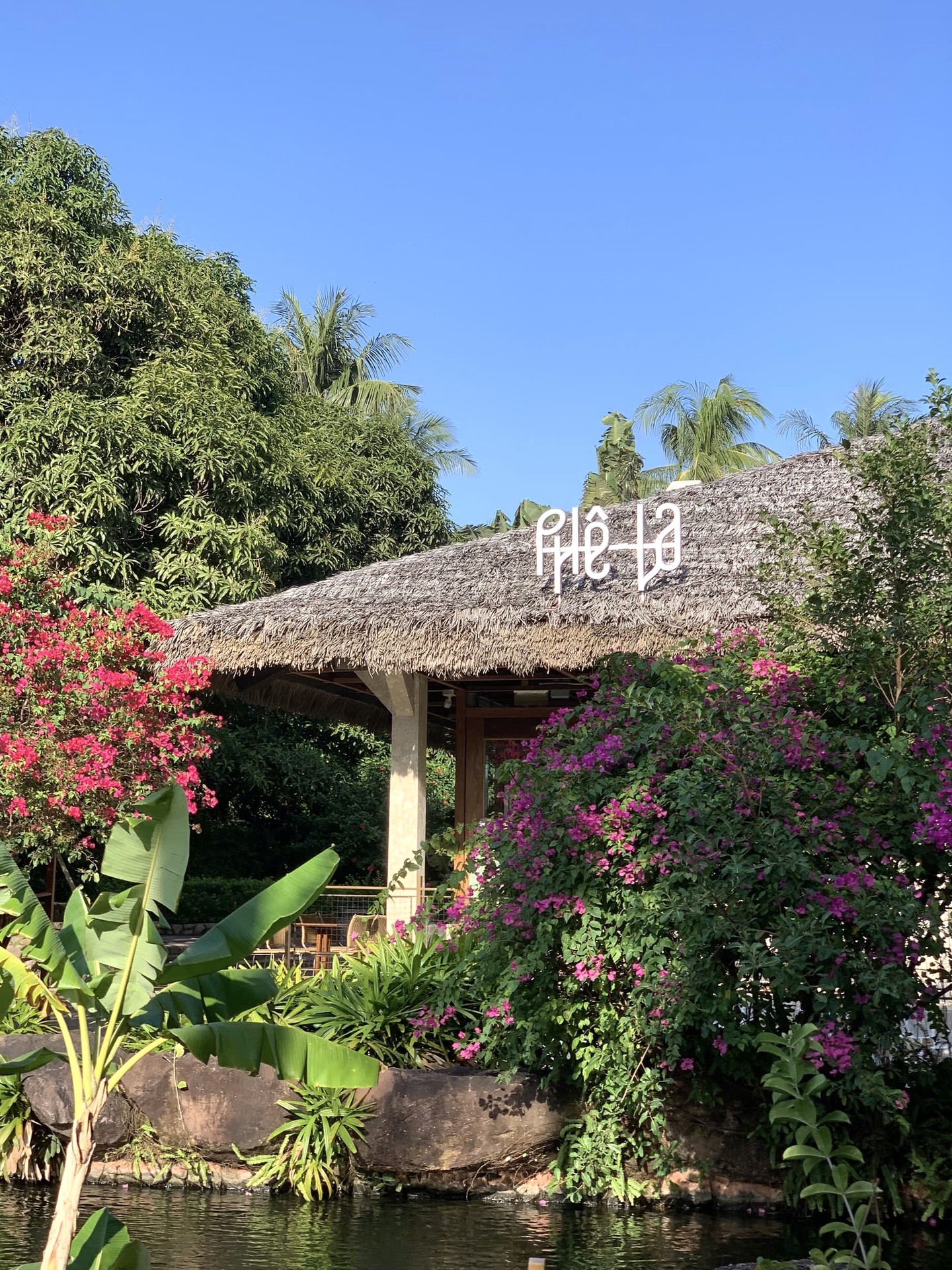 Tốn 1 triệu đồng mới được quyền mua một ly Phê La, chi nhánh mới khiến khách nghe xong muốn quay xe gấp- Ảnh 7.