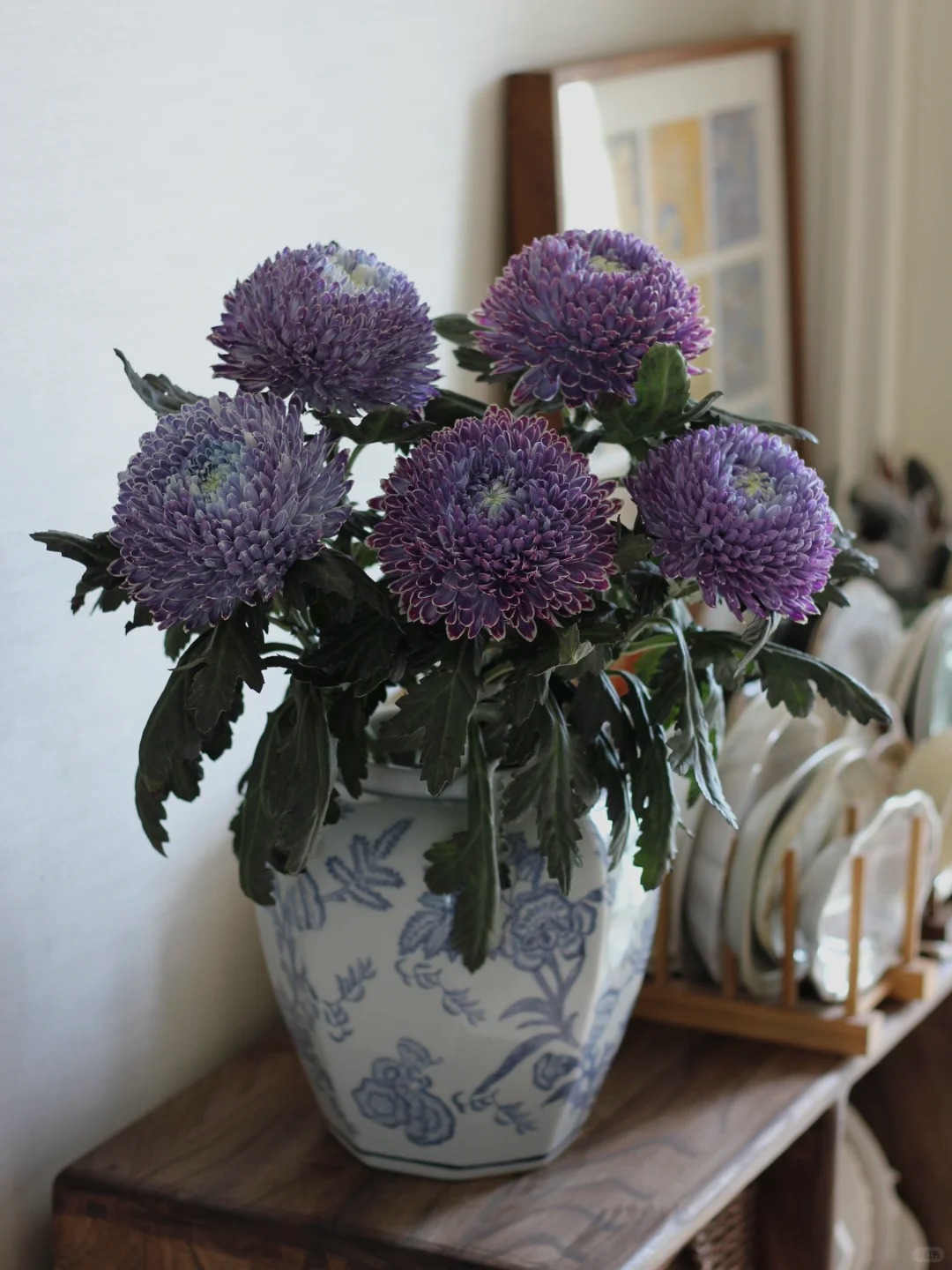 Chi hơn 300k mua cúc mẫu đơn khổng lồ cho phòng khách ngày Tết 2026 - Ảnh 15.