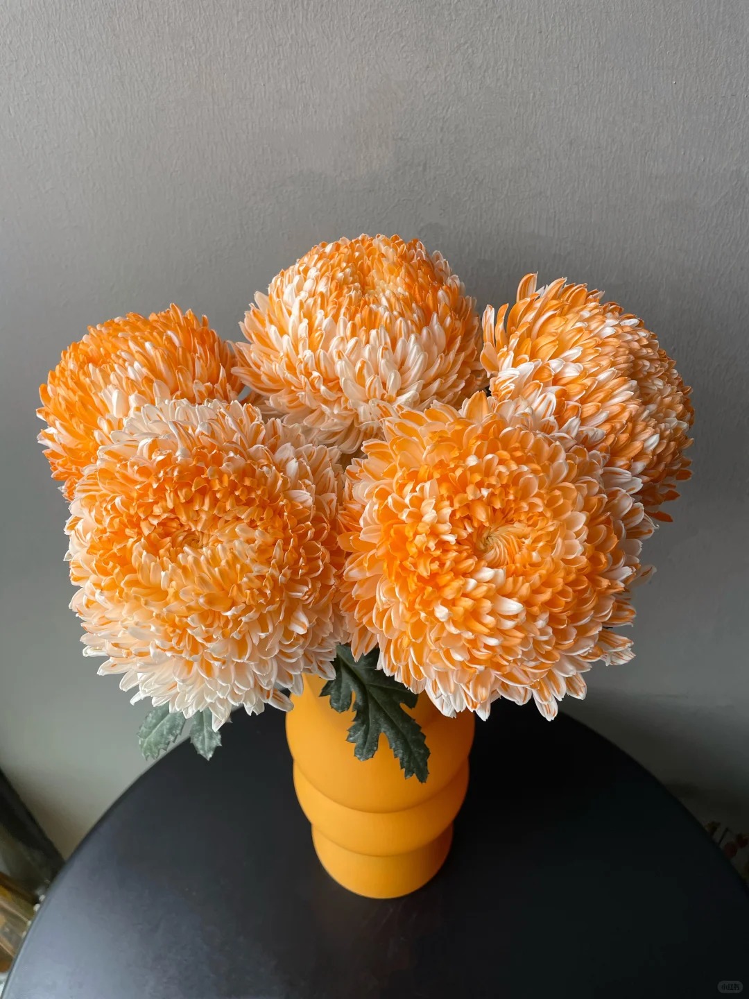 Chi hơn 300k mua cúc mẫu đơn khổng lồ cho phòng khách ngày Tết 2026 - Ảnh 36.