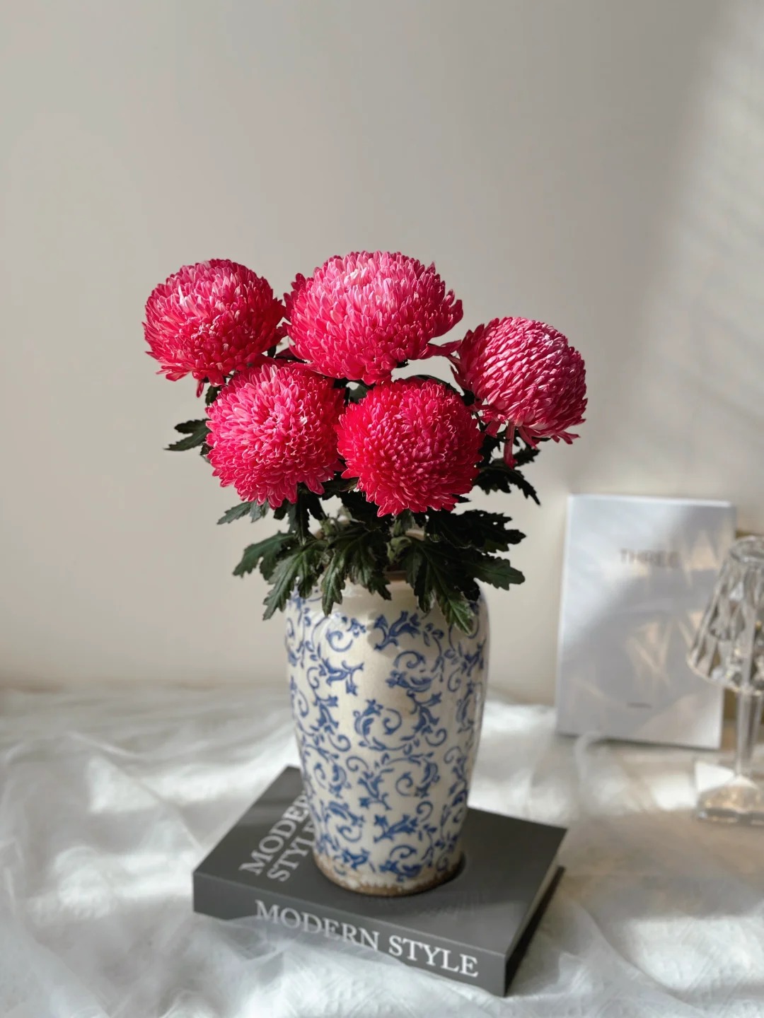 Chi hơn 300k mua cúc mẫu đơn khổng lồ cho phòng khách ngày Tết 2026 - Ảnh 20.