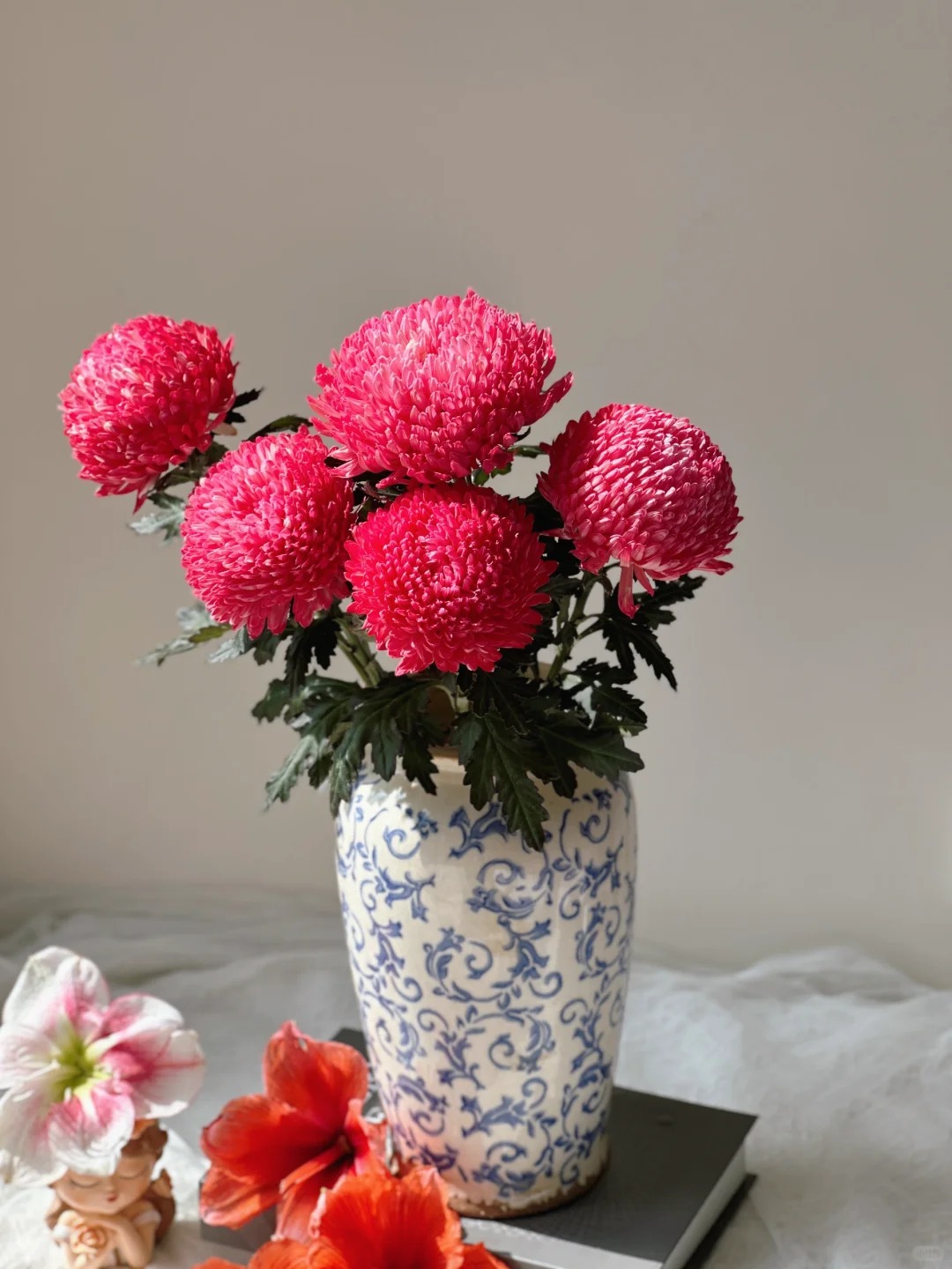 Chi hơn 300k mua cúc mẫu đơn khổng lồ cho phòng khách ngày Tết 2026 - Ảnh 22.