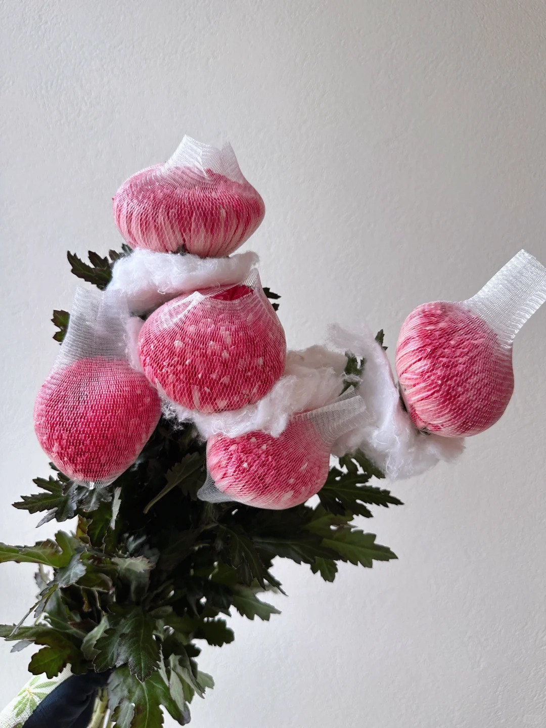 Chi hơn 300k mua cúc mẫu đơn khổng lồ cho phòng khách ngày Tết 2026 - Ảnh 30.