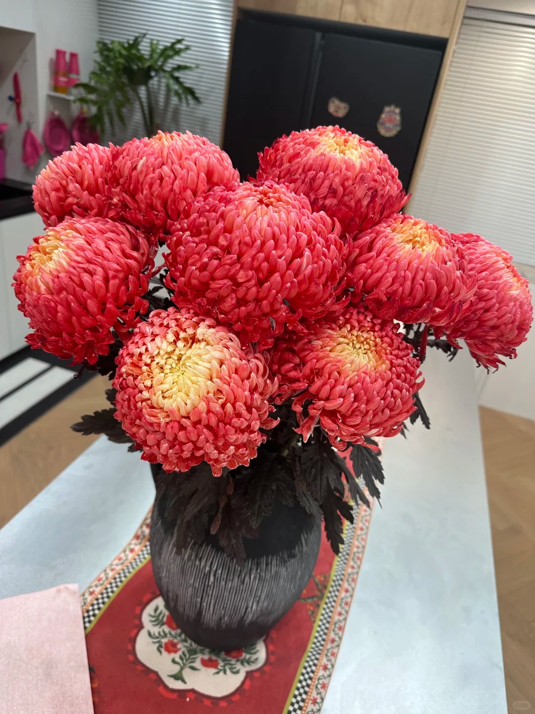 Chi hơn 300k mua cúc mẫu đơn khổng lồ cho phòng khách ngày Tết 2026 - Ảnh 10.