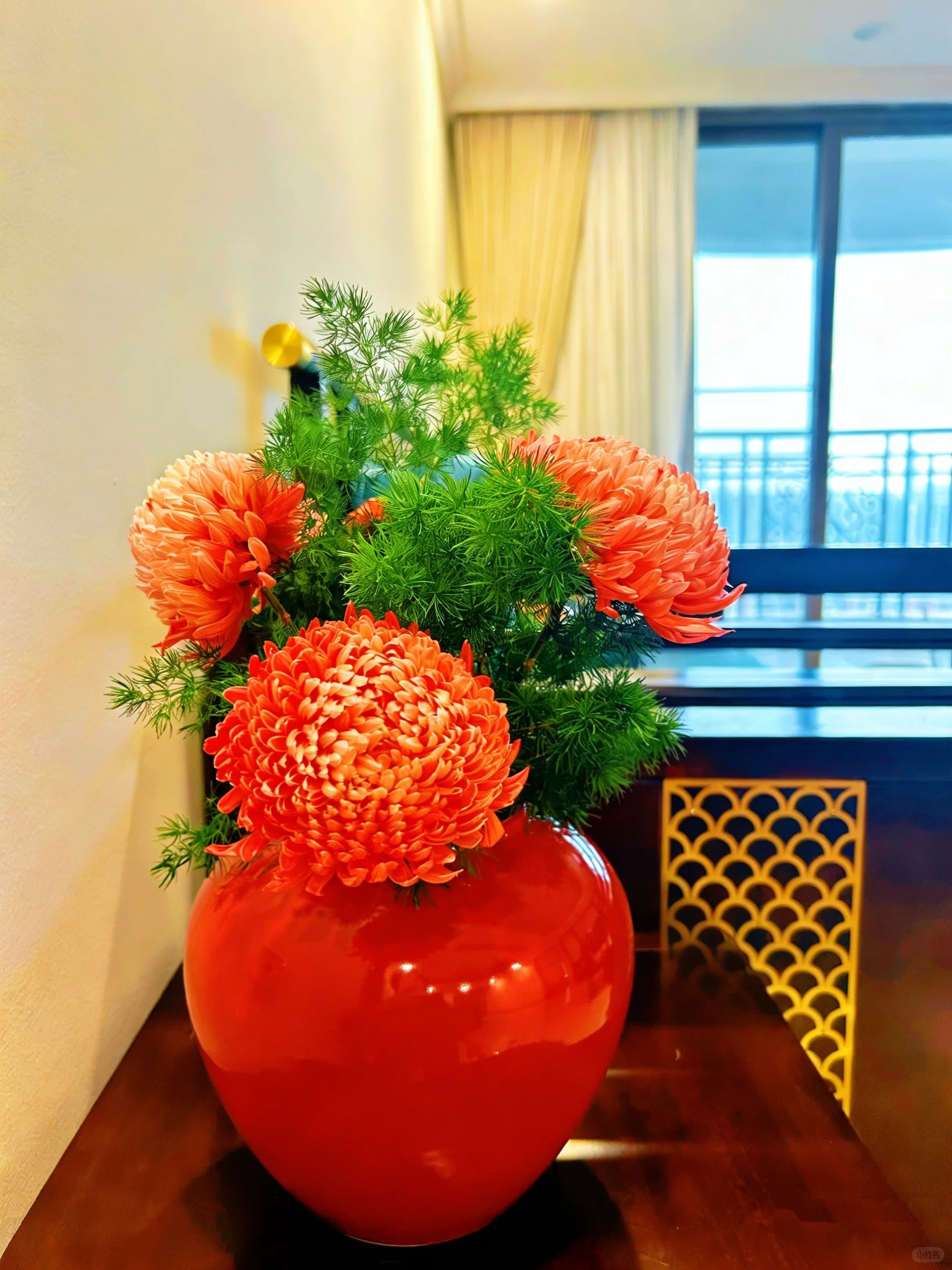 Chi hơn 300k mua cúc mẫu đơn khổng lồ cho phòng khách ngày Tết 2026 - Ảnh 18.