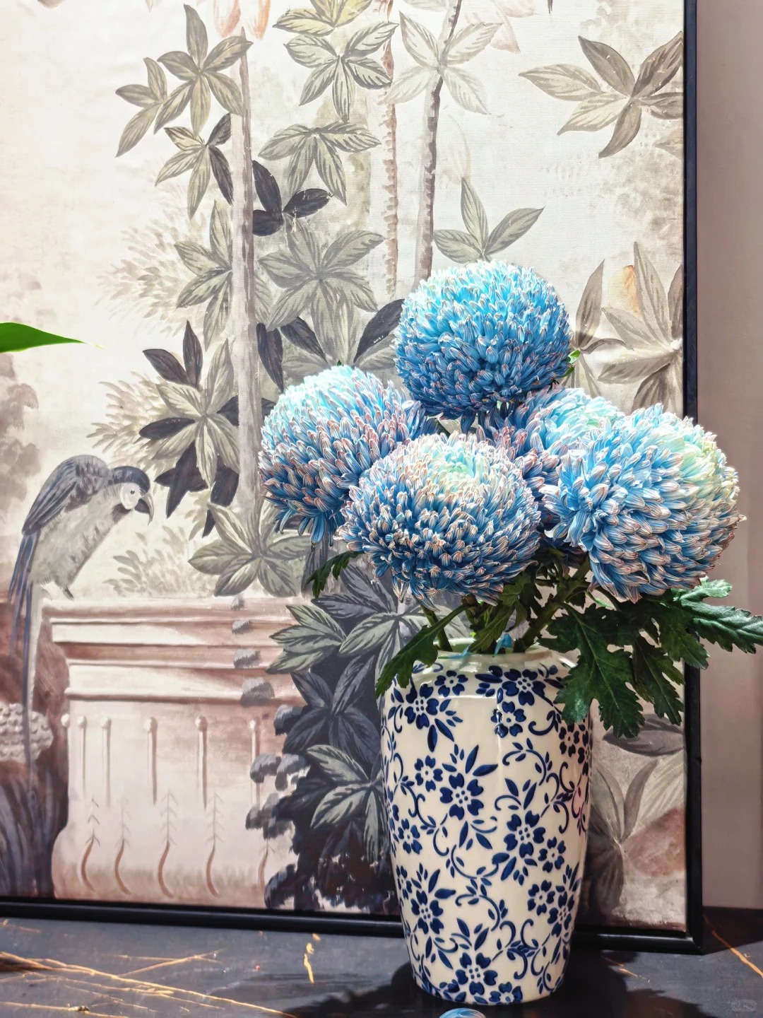 Chi hơn 300k mua cúc mẫu đơn khổng lồ cho phòng khách ngày Tết 2026 - Ảnh 13.