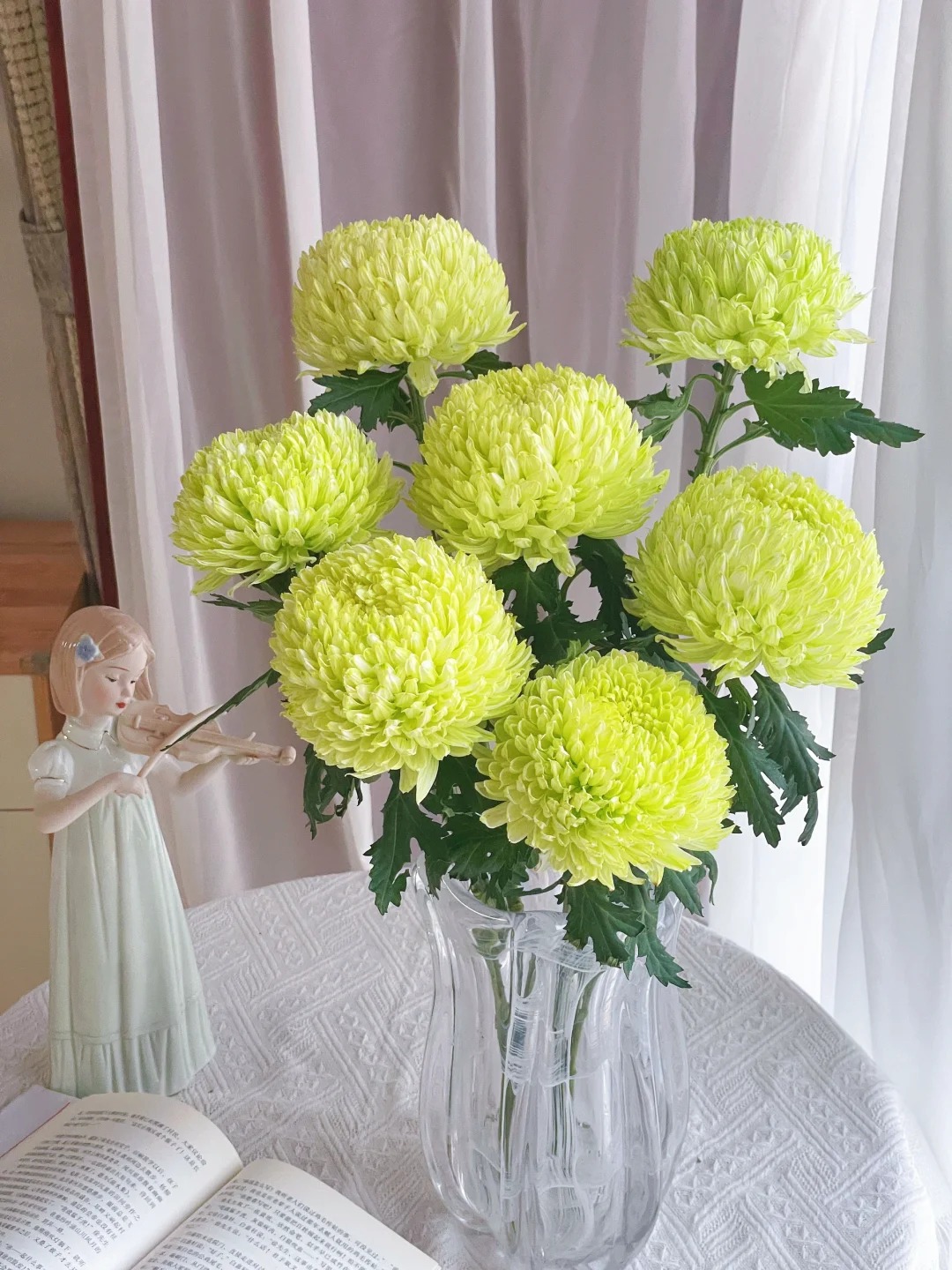 Chi hơn 300k mua cúc mẫu đơn khổng lồ cho phòng khách ngày Tết 2026 - Ảnh 2.