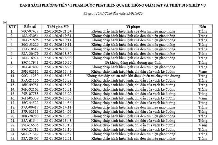 - Ảnh 2. - Ảnh 2.