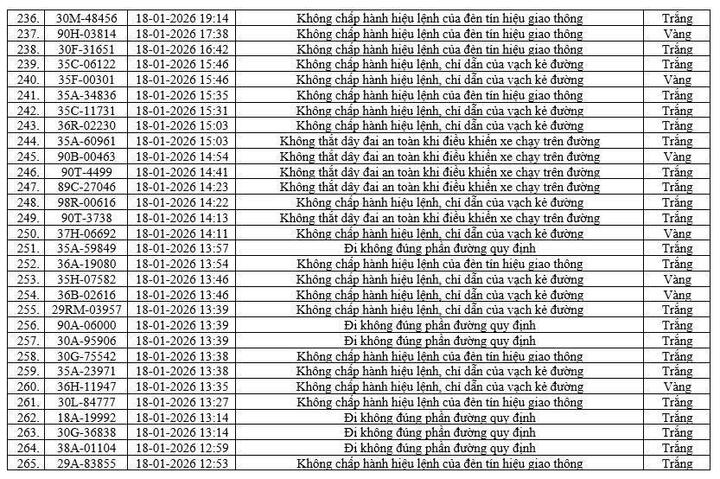 - Ảnh 10. - Ảnh 10.