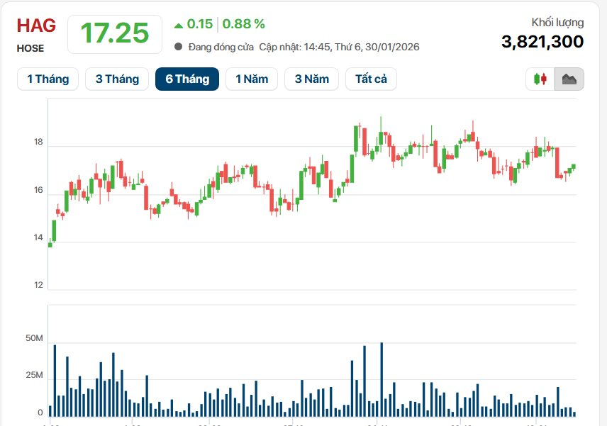 Ngày trở lại của Bầu Đức: HAGL lãi cao nhất lịch sử hơn 2.200 tỷ, tổng tài sản vượt mốc 1 tỷ USD - Ảnh 5.