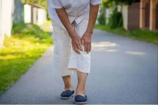 Trứng Đứng Thứ 5 Trong Số Các Loại Thực Phẩm Giàu Protein Phù Hợp Nhất Cho Người Cao Tuổi, Đứng Đầu Trứng Đứng Thứ 5 Trong Số Các Loại Thực Phẩm Giàu Protein Phù Hợp Nhất Cho Người Cao Tuổi, Đứng Đầu