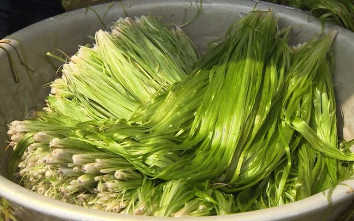 Đặc sản trời cho miền Tây, cả nước trầm trồ- Ảnh 2.