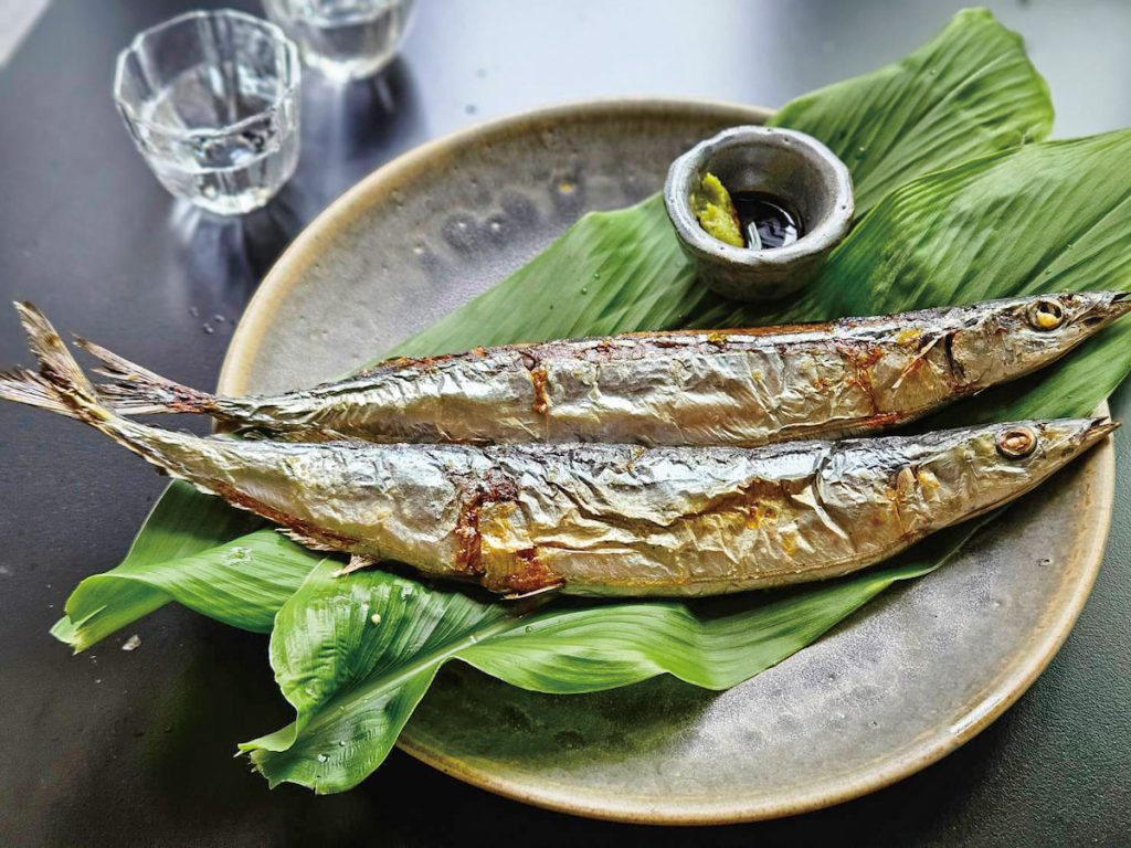 2 loại c&aacute; b&igrave;nh d&acirc;n gi&agrave;u omega-3 nhất thế giới, vượt xa c&aacute; hồi, ăn 2 lần/tuần gi&uacute;p &ldquo;l&agrave;m sạch&rdquo; mạch m&aacute;u, bảo vệ mắt- Ảnh 2.