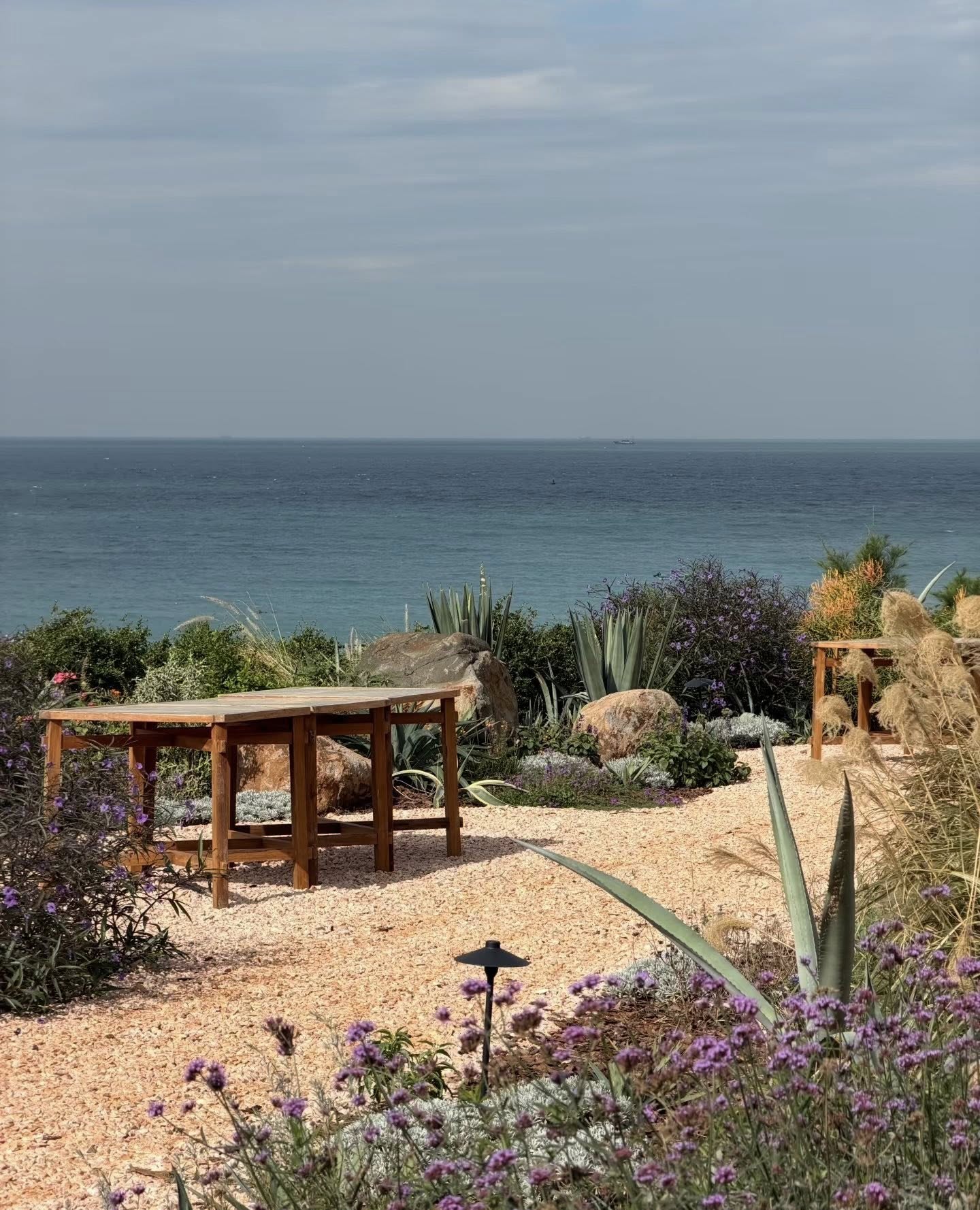 Sự thật về hòn đảo cảnh như phim, được nhận xét "chỉ cần qua cửa khẩu Móng Cái": Nhiều người đã nhầm - Ảnh 4.