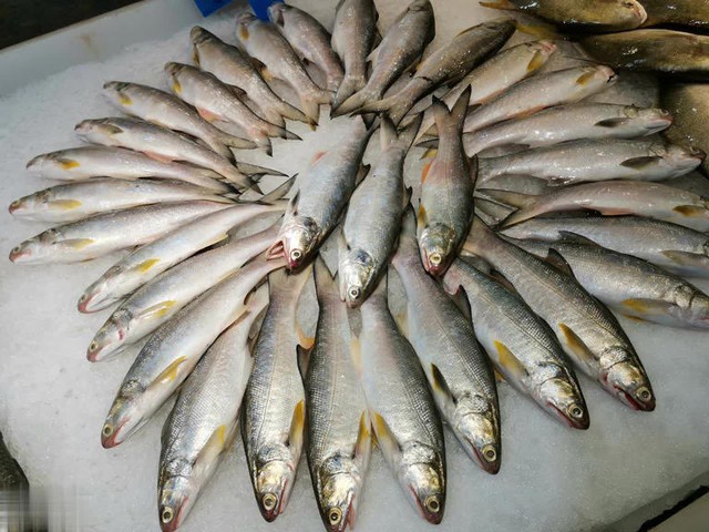 M&ugrave;a đ&ocirc;ng c&oacute; 4 loại c&aacute; &ldquo;dễ ngậm kim loại nặng&rdquo; n&ecirc;n ăn &iacute;t, tiểu thương cảnh b&aacute;o rẻ mấy cũng đừng mua- Ảnh 3.