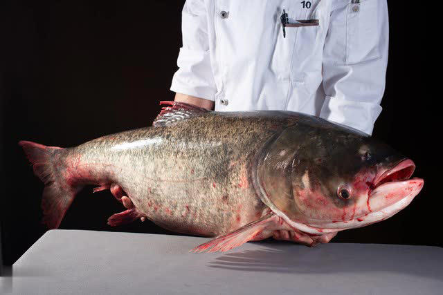 M&ugrave;a đ&ocirc;ng c&oacute; 4 loại c&aacute; &ldquo;dễ ngậm kim loại nặng&rdquo; n&ecirc;n ăn &iacute;t, tiểu thương cảnh b&aacute;o rẻ mấy cũng đừng mua- Ảnh 4.