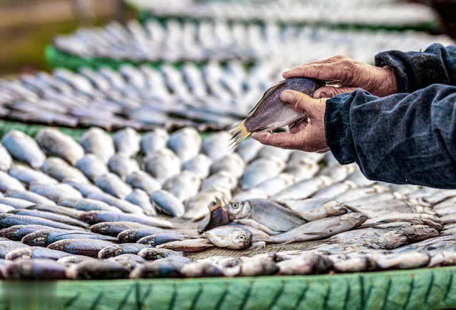 M&ugrave;a đ&ocirc;ng c&oacute; 4 loại c&aacute; &ldquo;dễ ngậm kim loại nặng&rdquo; n&ecirc;n ăn &iacute;t, tiểu thương cảnh b&aacute;o rẻ mấy cũng đừng mua- Ảnh 2.