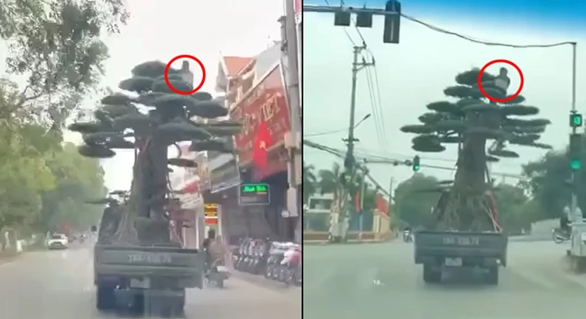 Lái xe chở người trên xe tải bị phạt 39 triệu đồng vì vi phạm an toàn giao thông - Ảnh 1. Lái xe chở người trên xe tải bị phạt 39 triệu đồng vì vi phạm an toàn giao thông - Ảnh 1.