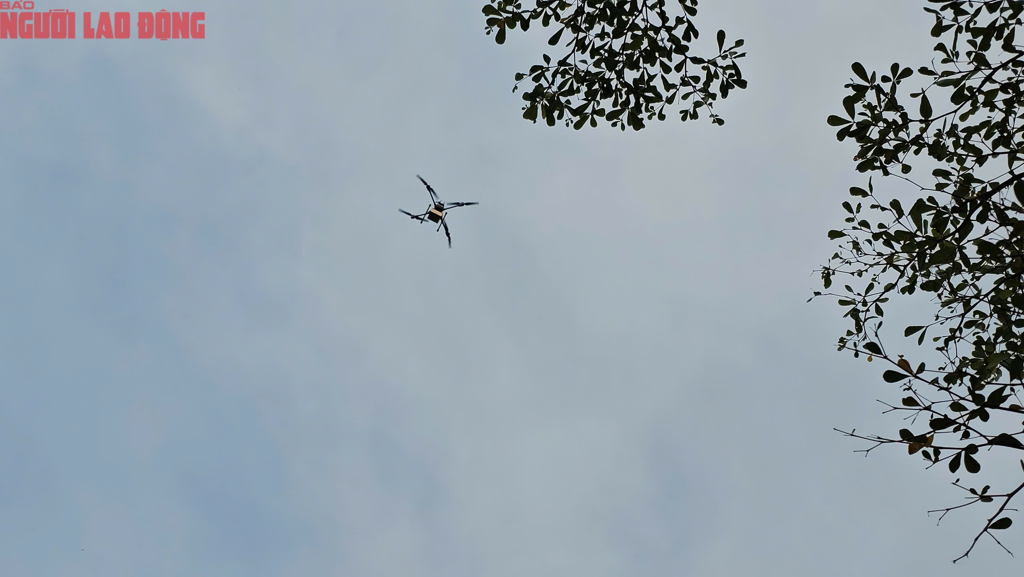 Ch&iacute;nh thức thử nghiệm giao h&agrave;ng bằng drone tại TPHCM - Ảnh 5.